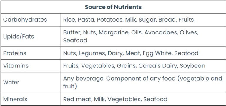 Components Of Food Nutrients Protein Carbohydrate Fats - Botorzo